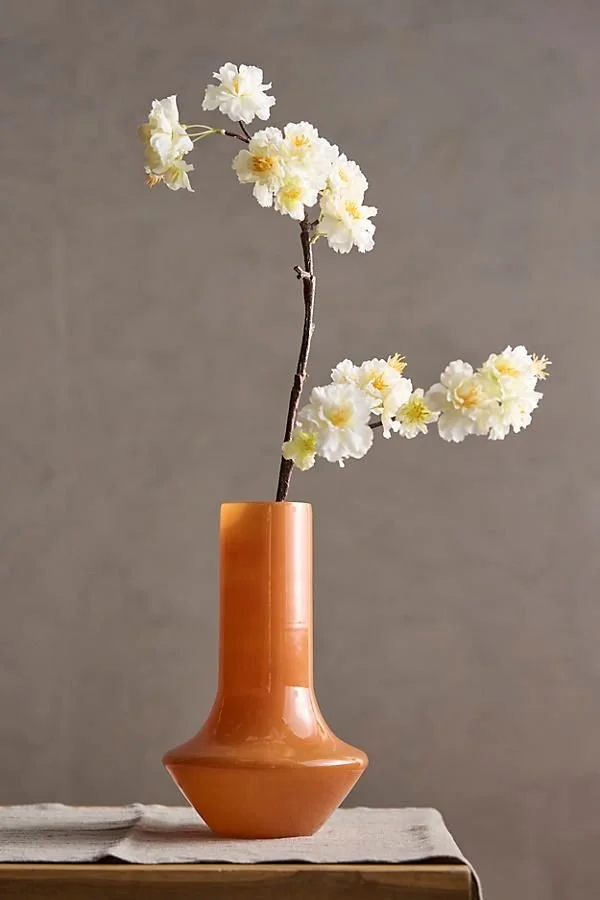 How Medical House Calls Are Revolutionizing Elderly Healthcare