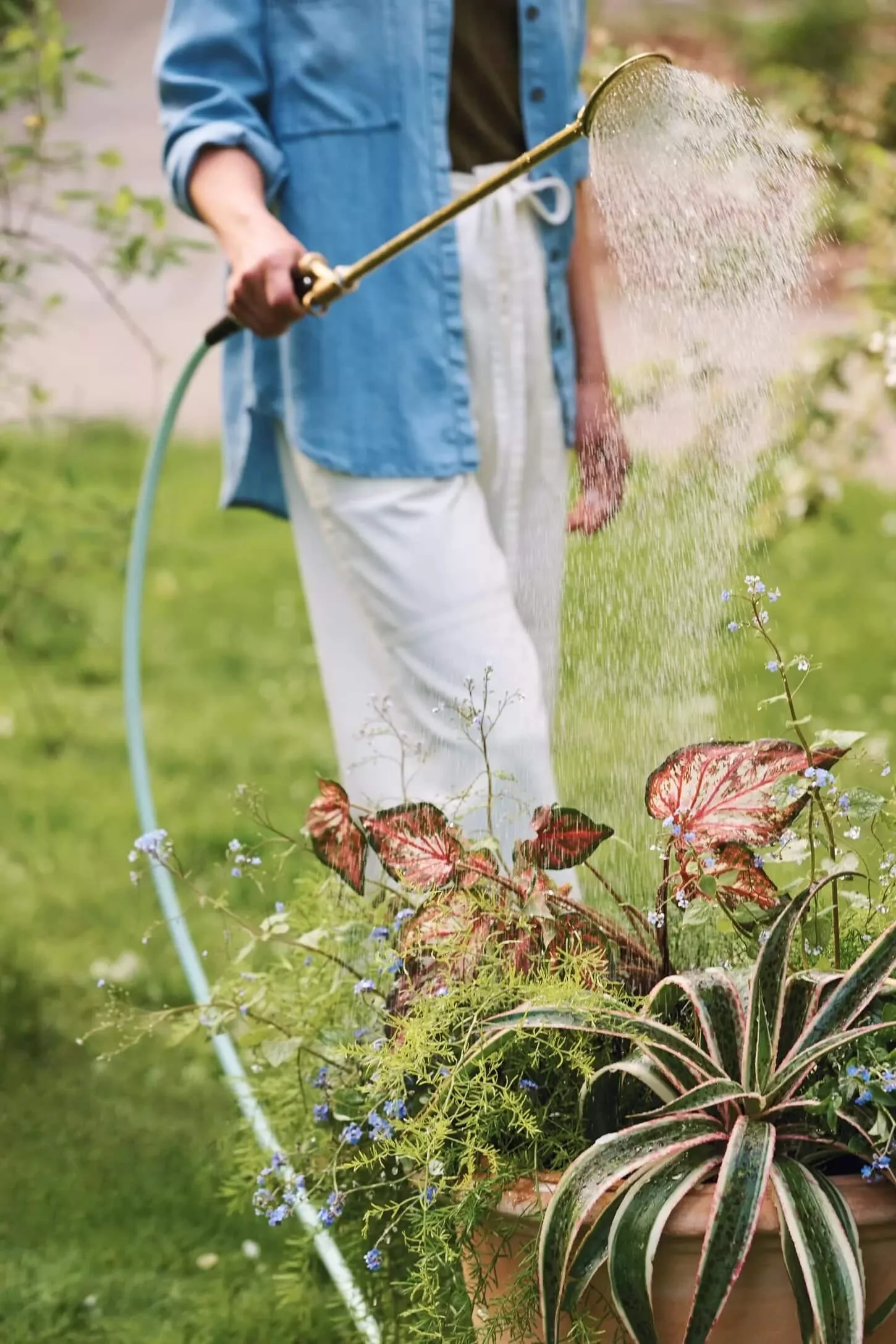 Top 6 Reasons To Choose Board And Care Homes For Seniors