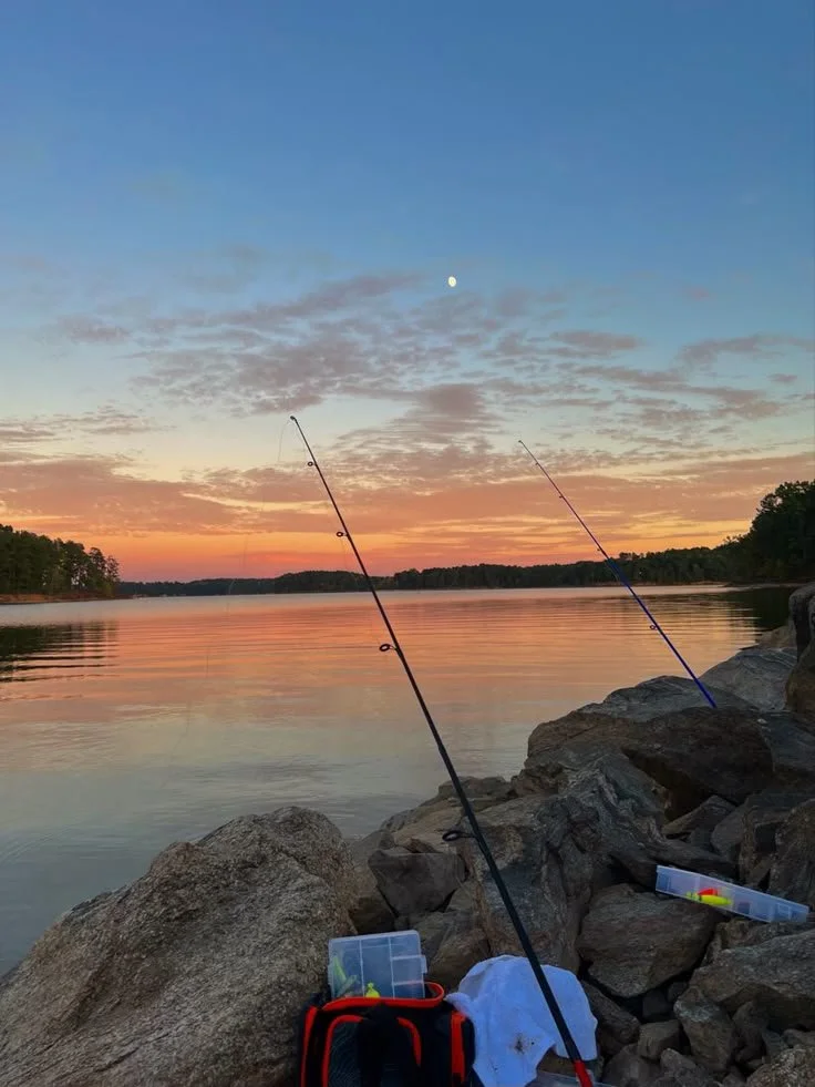 Best Cheap Fishing Rods: How Material Choices Affect Price and Performance