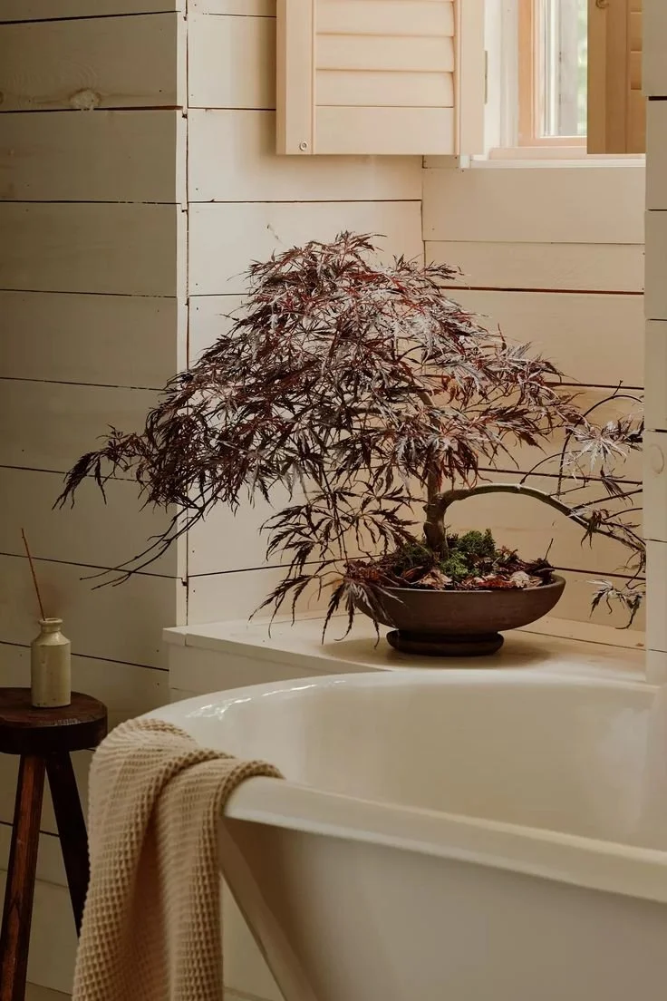 Bathroom Remodeling Services: Trends To Inspire Your Next Modern Remodel