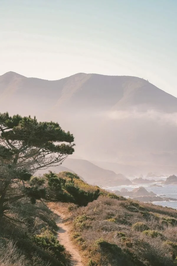 A Simple Road Trip Can Help You Slow Down and Reconnect