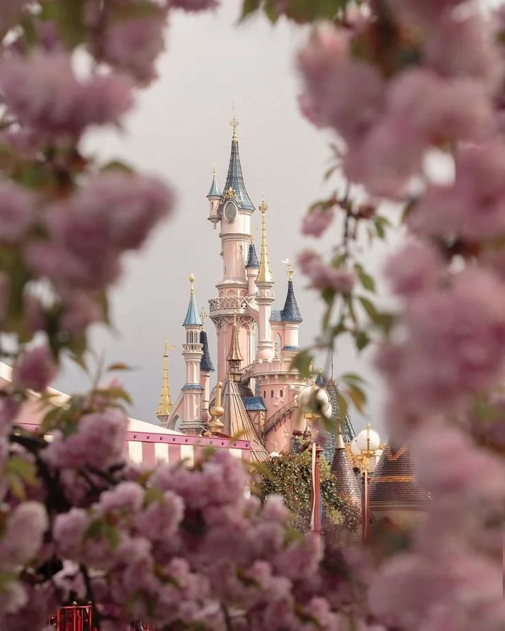 7 Mistakes To Avoid When Booking Disneyland Paris Tickets Online