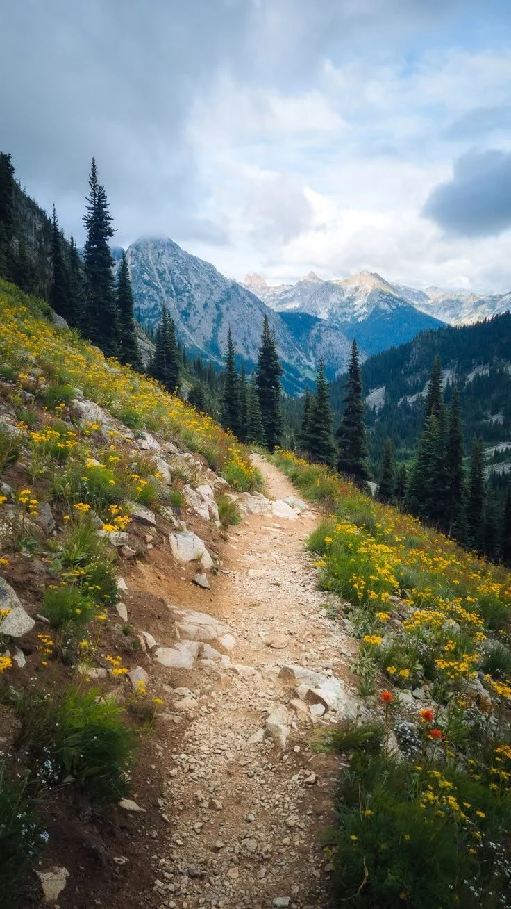 Hiking Tours For Every Skill Level
