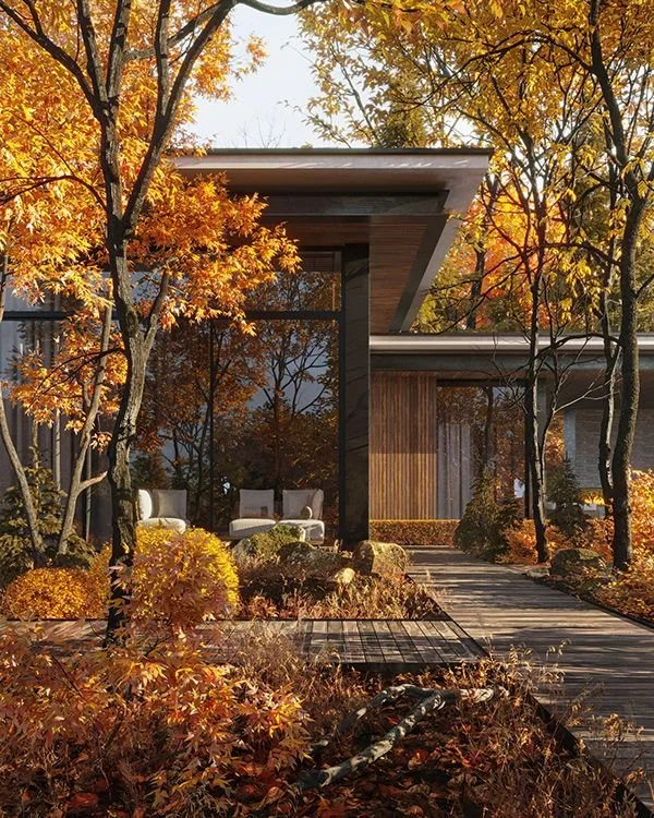 Get Your Lawn Winter-Ready: Proven Fall Care Tips That Work