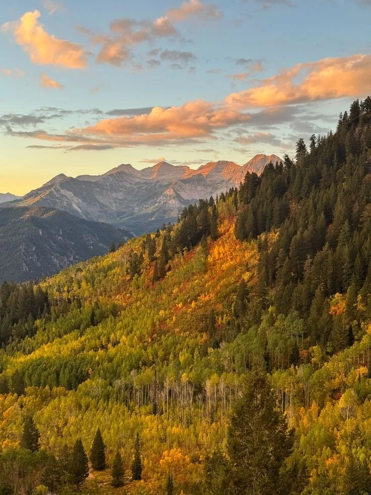 Reconnecting In Nature: Why Utah Is The Ideal Destination For Family Reunion Rentals