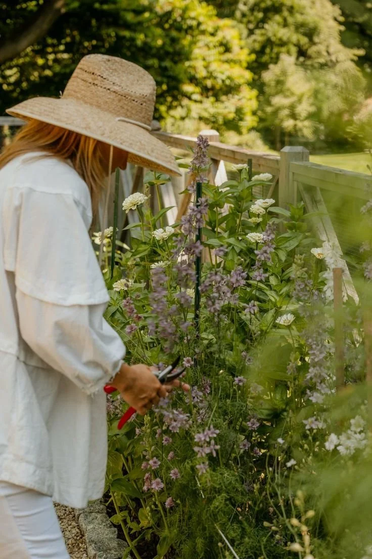 How To Make Gardening Joyful Again
