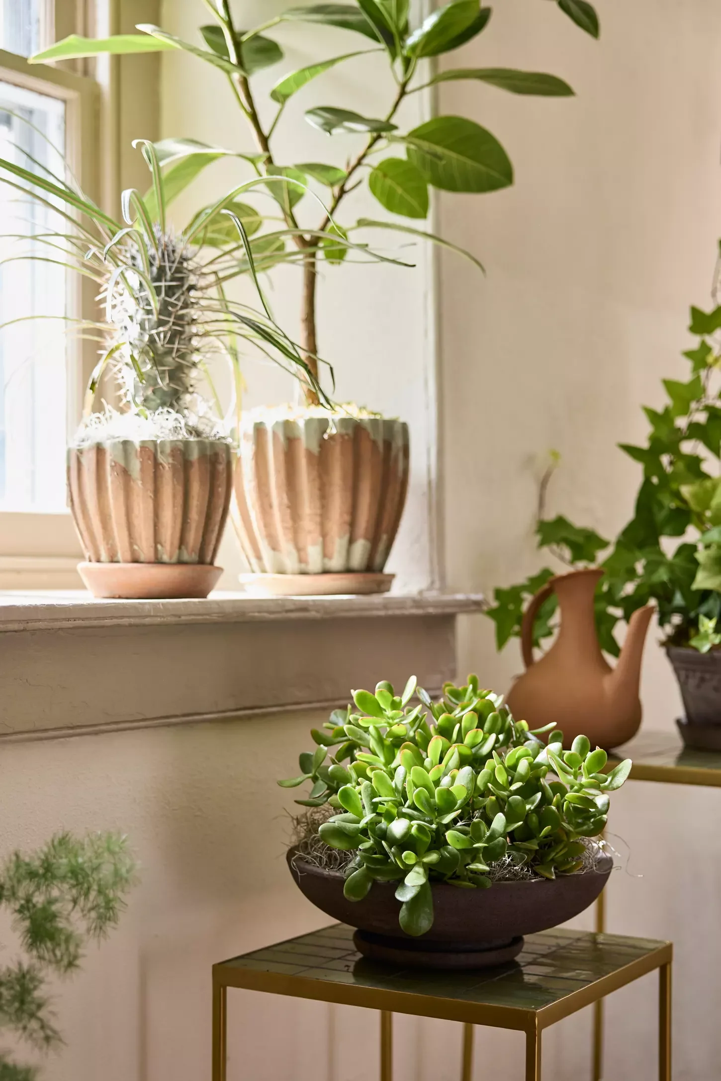 How Do You Keep Your Plants Safe During A Big Move?