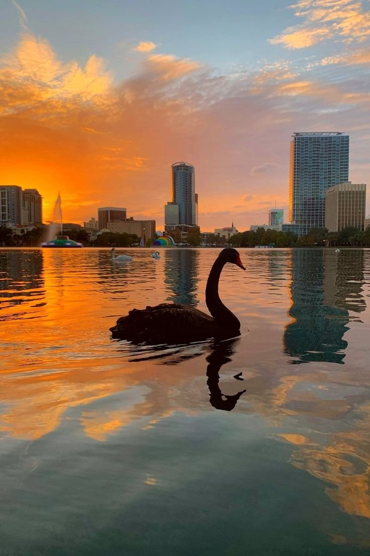 Combining English Learning And Travel In Orlando