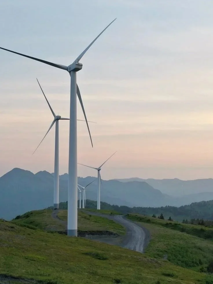 How Smart Businesses Are Reducing Energy Price Volatility