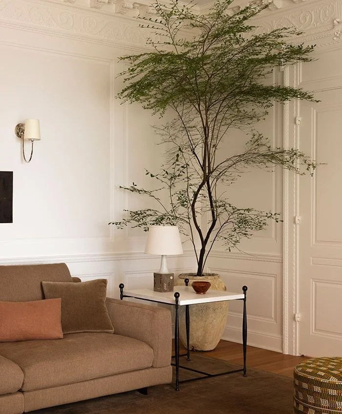 How To Create A Healthier Home Environment For You And Your Family