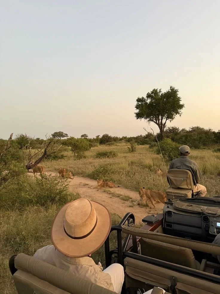 5 Best Luxury African Safari Tours To Book In 2026