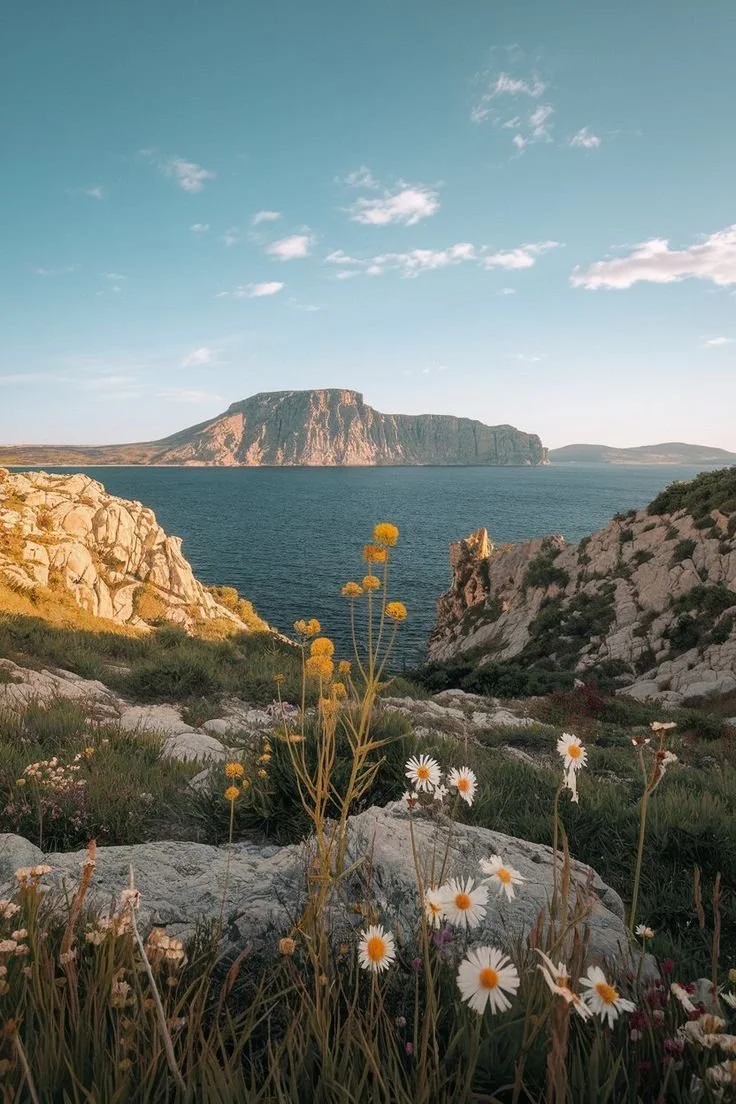 Exclusive Travel Experiences For Special Occasions