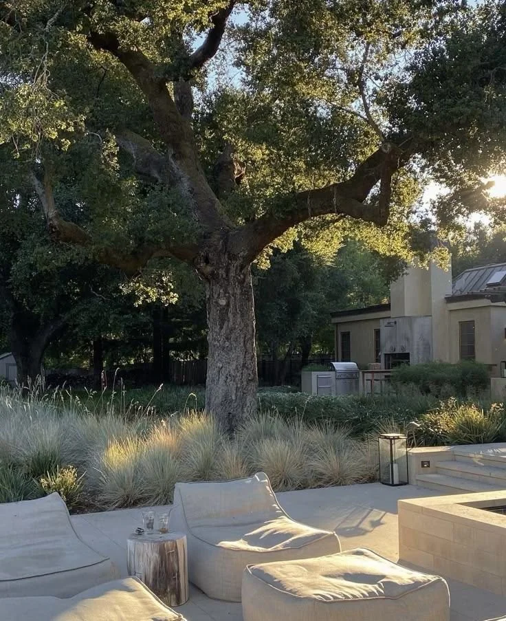 Why Your Backyard Feels Less Relaxing Than It Used To