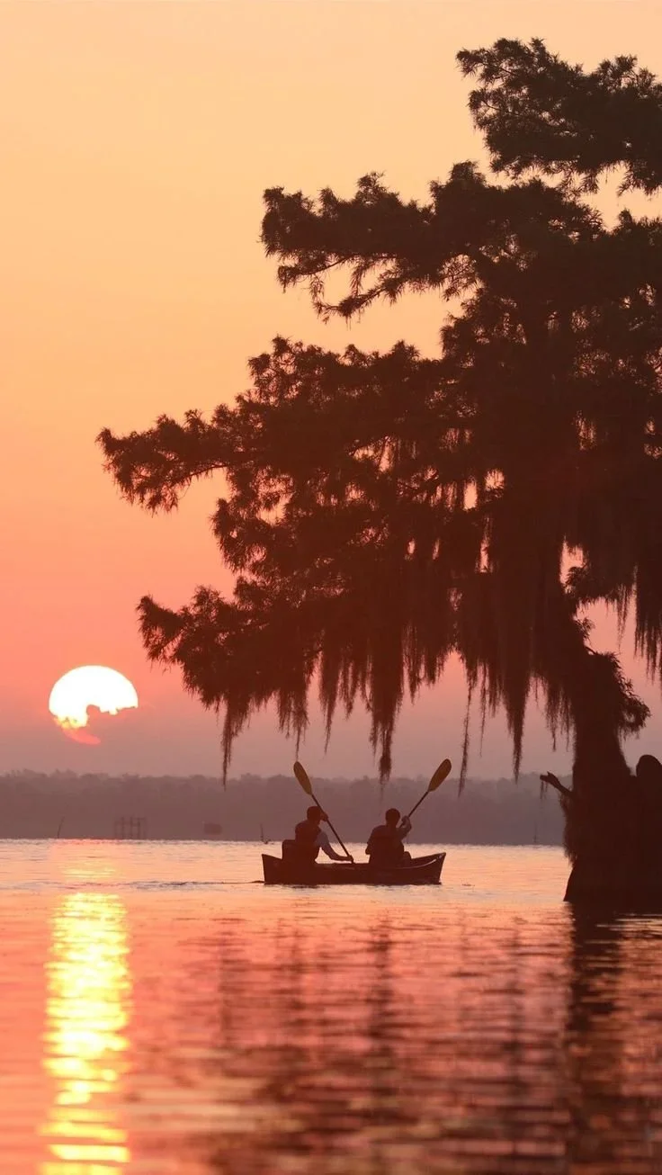 Houma, Louisiana: Top Tips For Securing Low-Cost Car Insurance