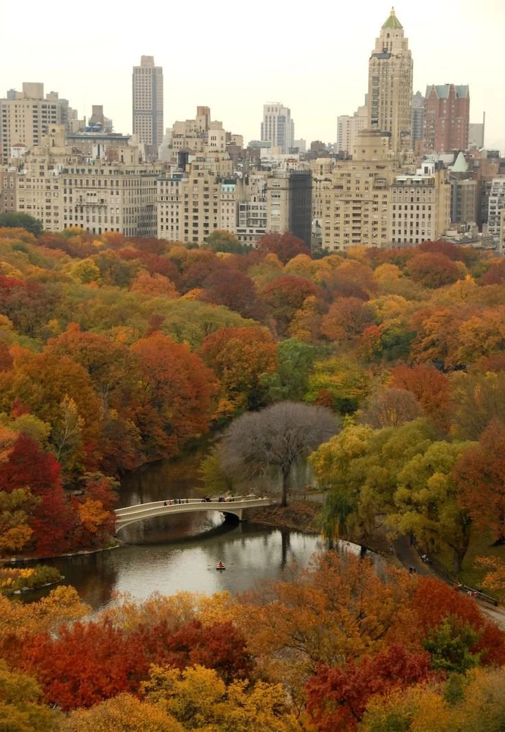 Getting Around: The U.S. Cities With The Best Public Transit