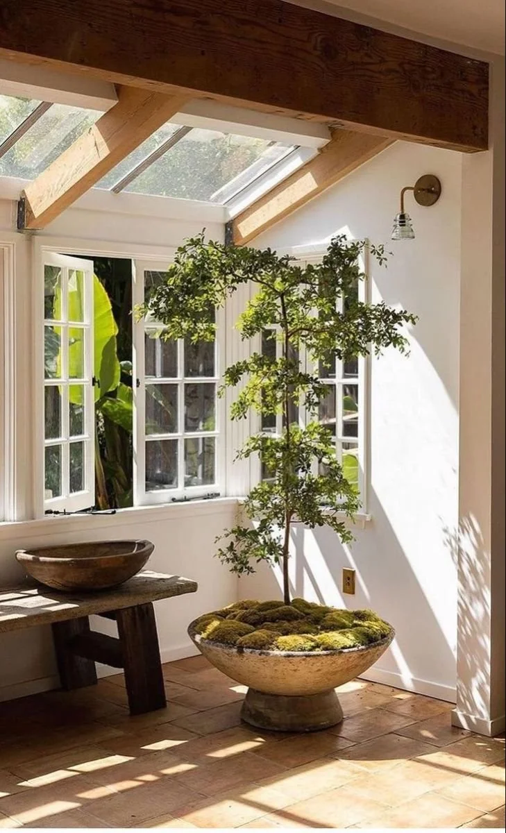 What Makes Casement Windows A Popular Choice For Canadian Homes?