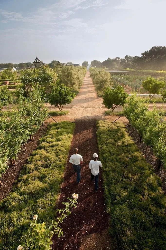 The Future Of Farming: Data, Tech, And Smarter Management