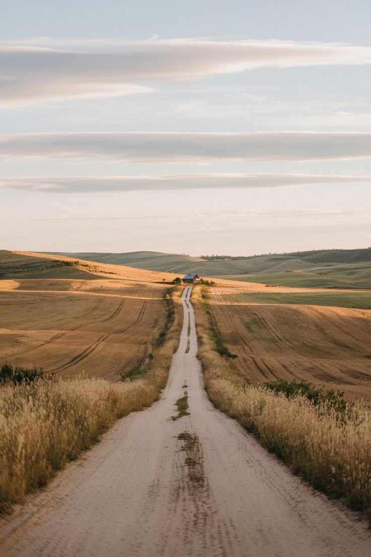 From Wild To Workable: Practical Ways To Reclaim Your Land