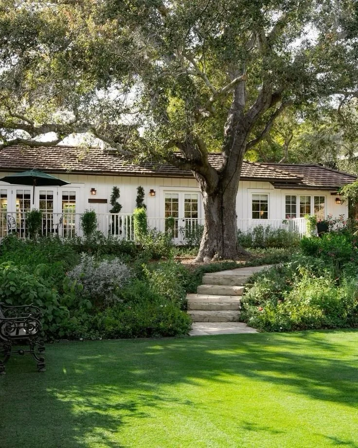 How Do You Know If Your Lawn Needs Sod Or Grass Seeding?