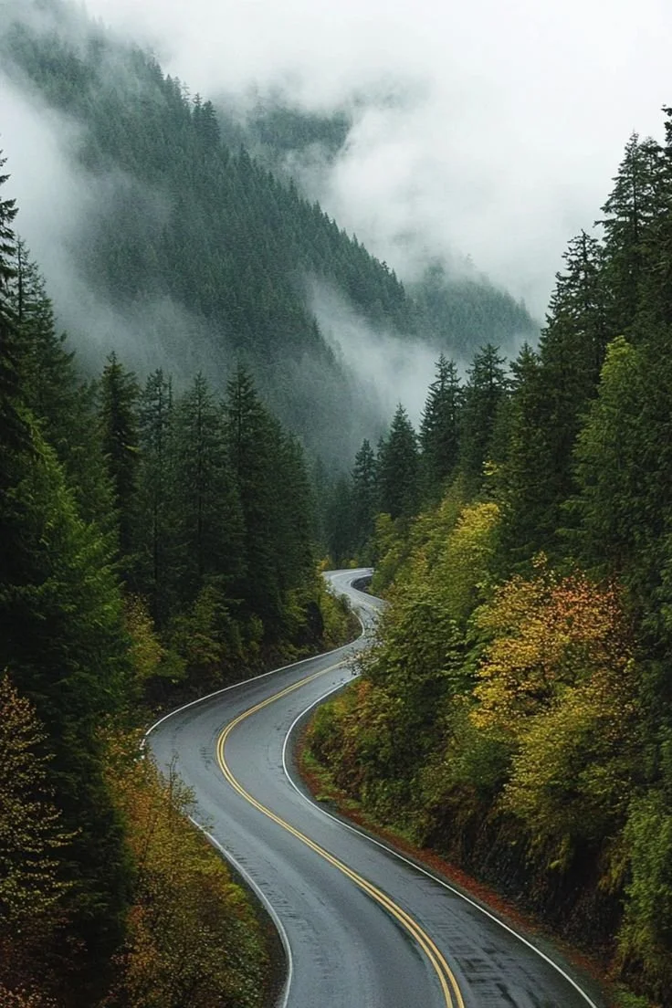 Washington Speed Cameras: What To Do After A Ticket