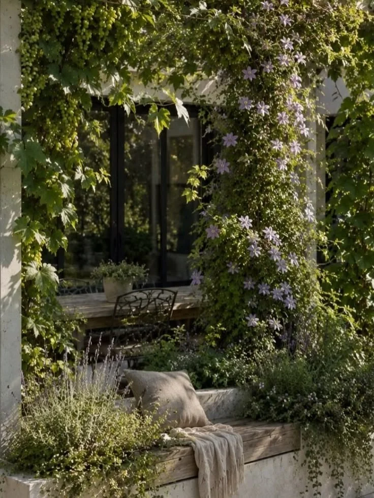 Mindful, Chemical-Free Garden Pest Control Tips