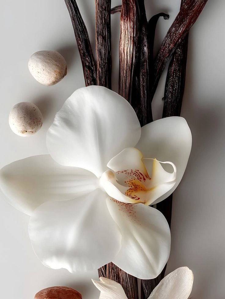 Discover How to Identify Your Favorite Perfume Notes