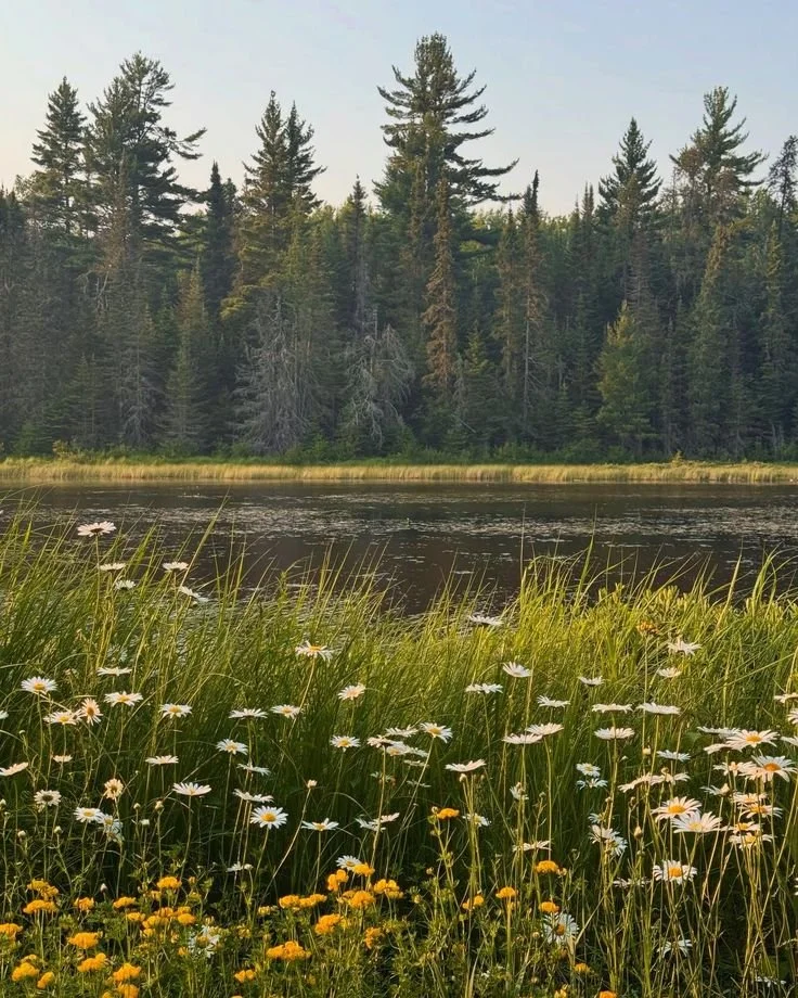 hellolovelyliving minnesota