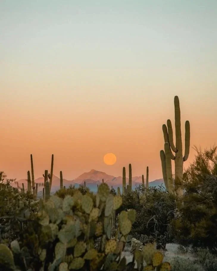 hellolovelyliving arizona sunset