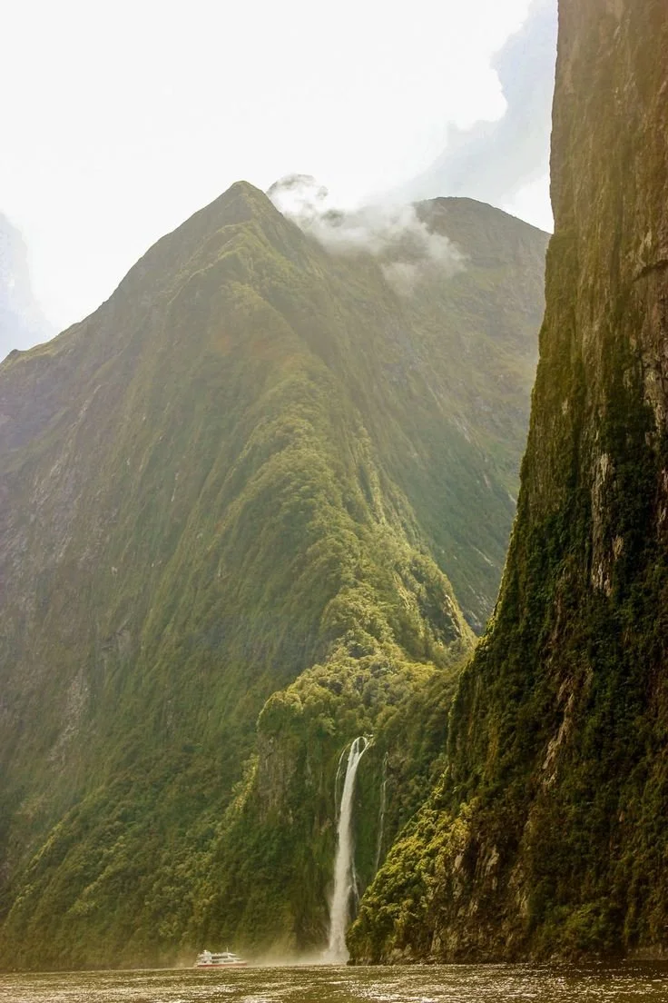 hellolovelyliving new zealand remote work