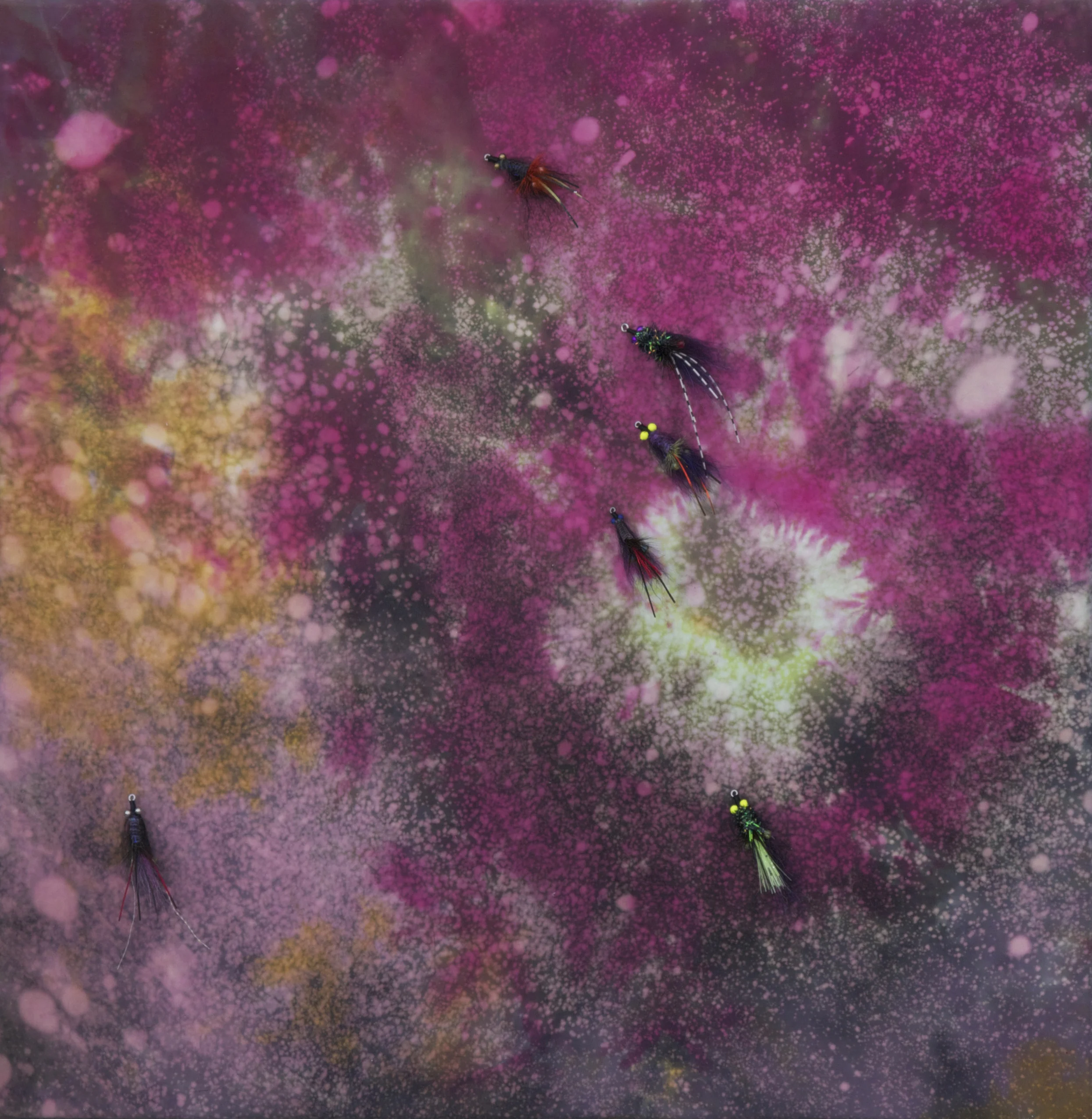 flies for space beast.jpg