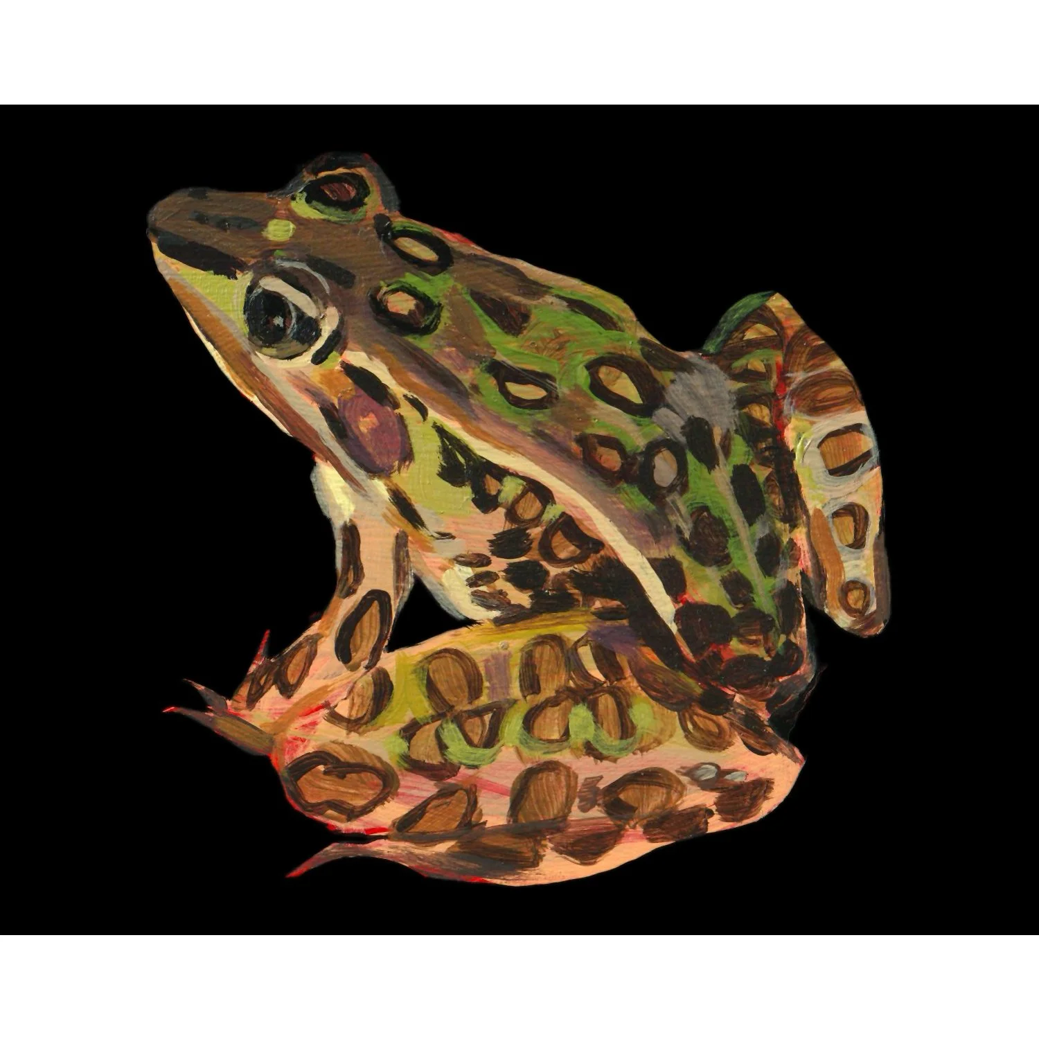 LeopardFrog.jpg