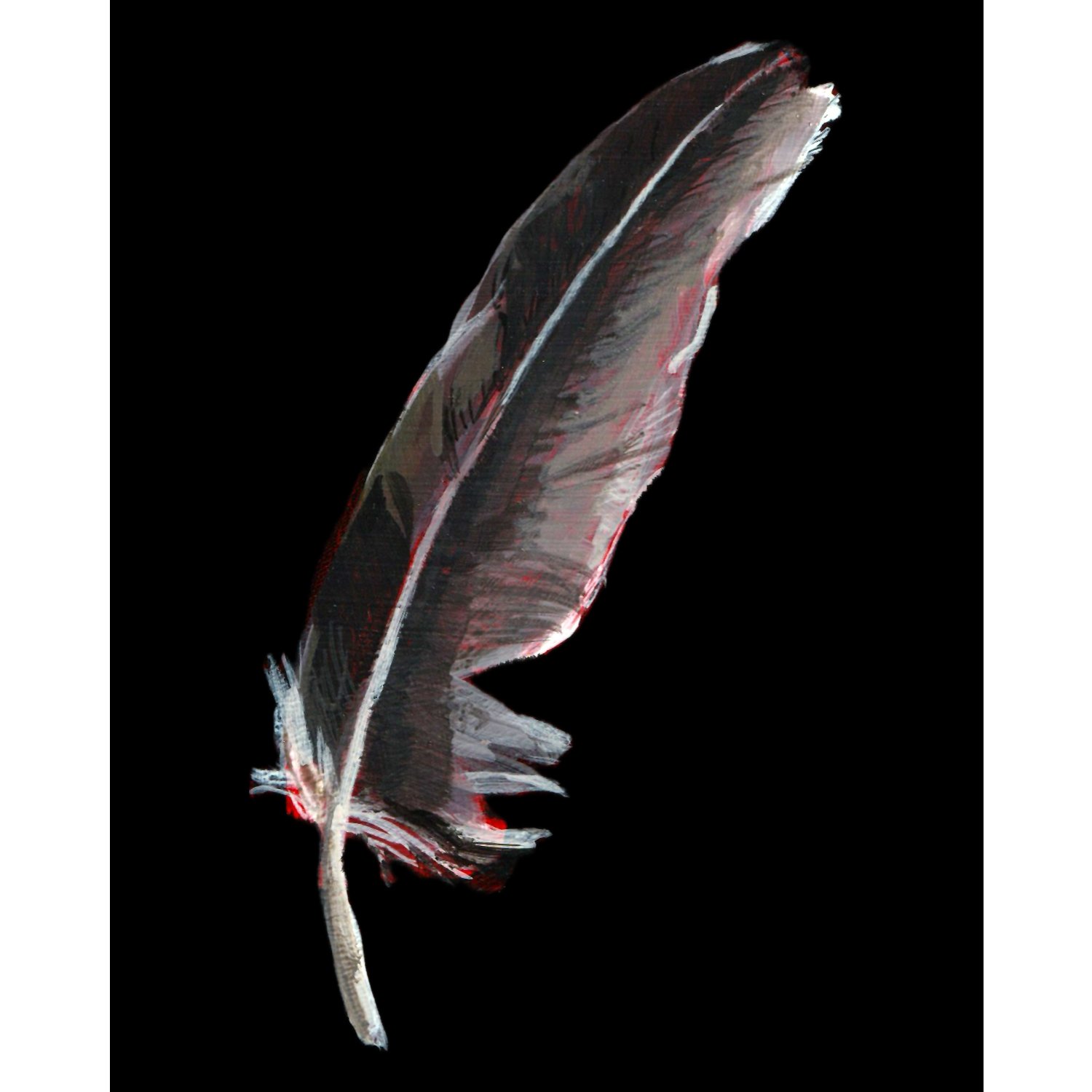 72vultureFeather.jpg