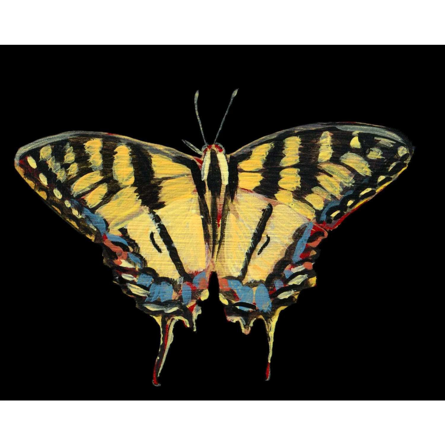 33tigerSwallowtailButterfly.jpg