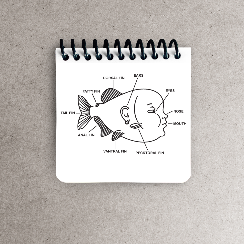 CRUX-WEB-white-fish_notepads.png