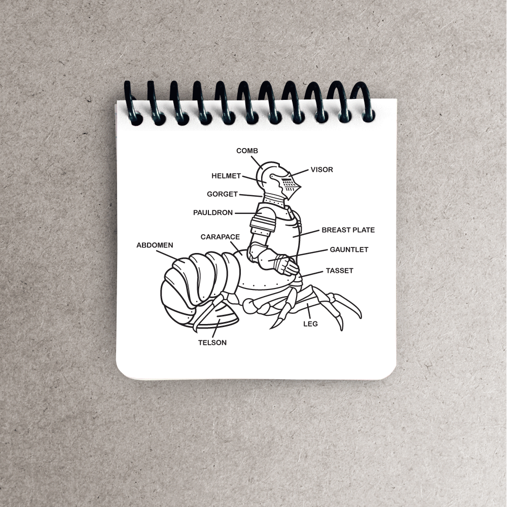 CRUX-WEB-white-lobster_notepads.png