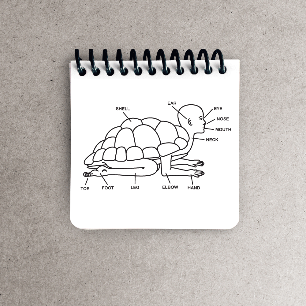 CRUX-WEB-turtle_notepads.png