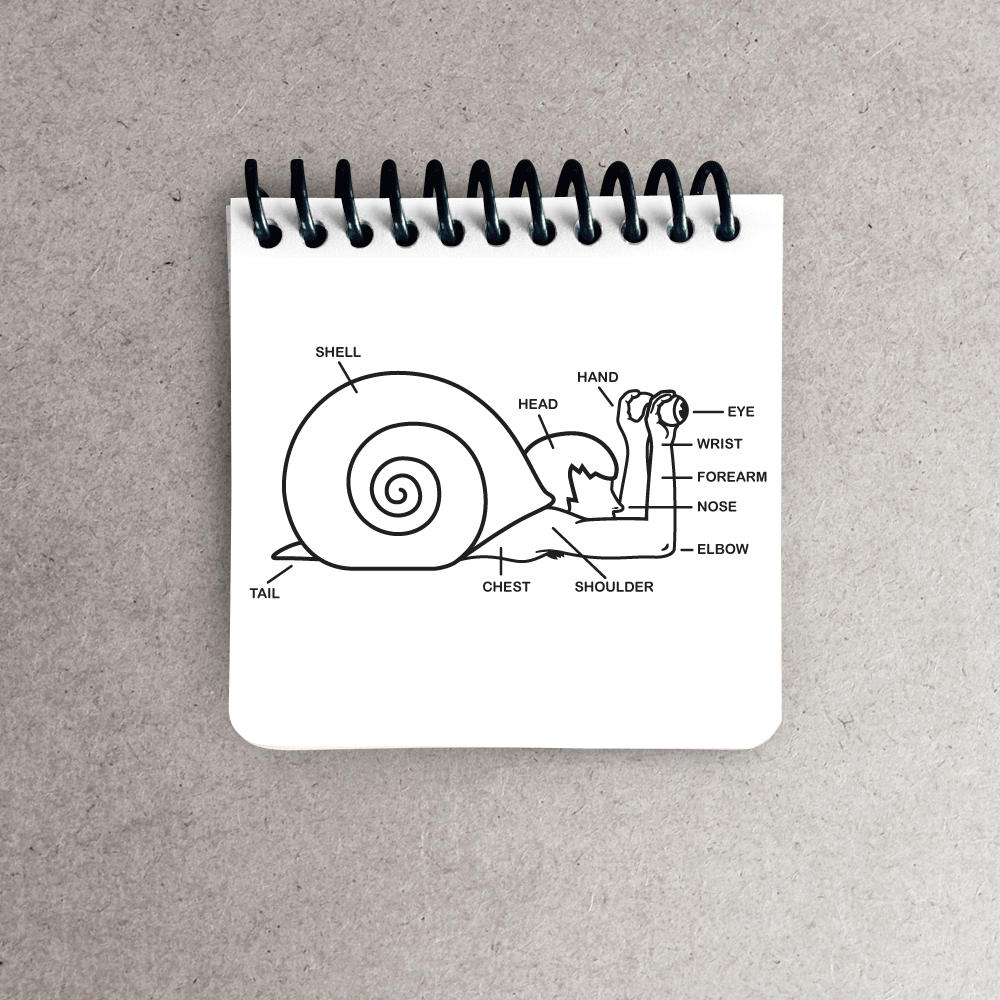 CRUX-WEB-snail_notepads.png