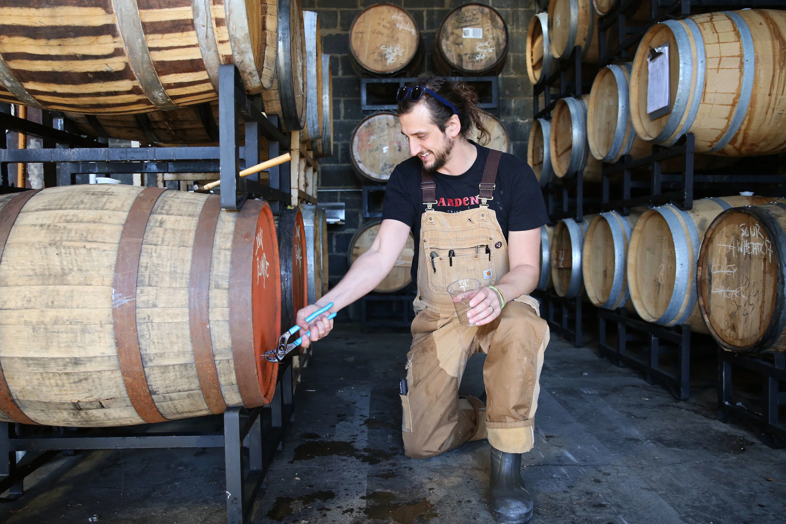 Welcome to the Donkey Barn!