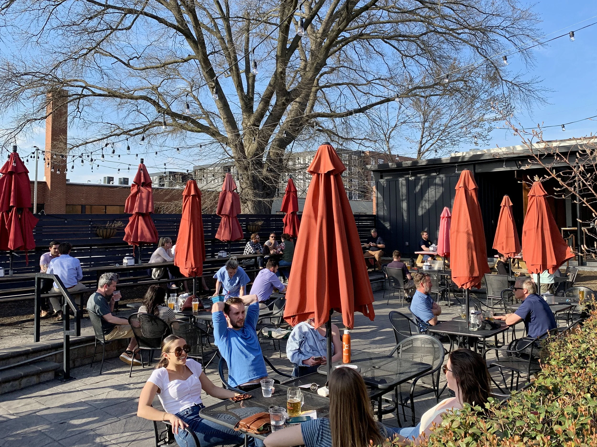 spring beer garden iphone.JPG