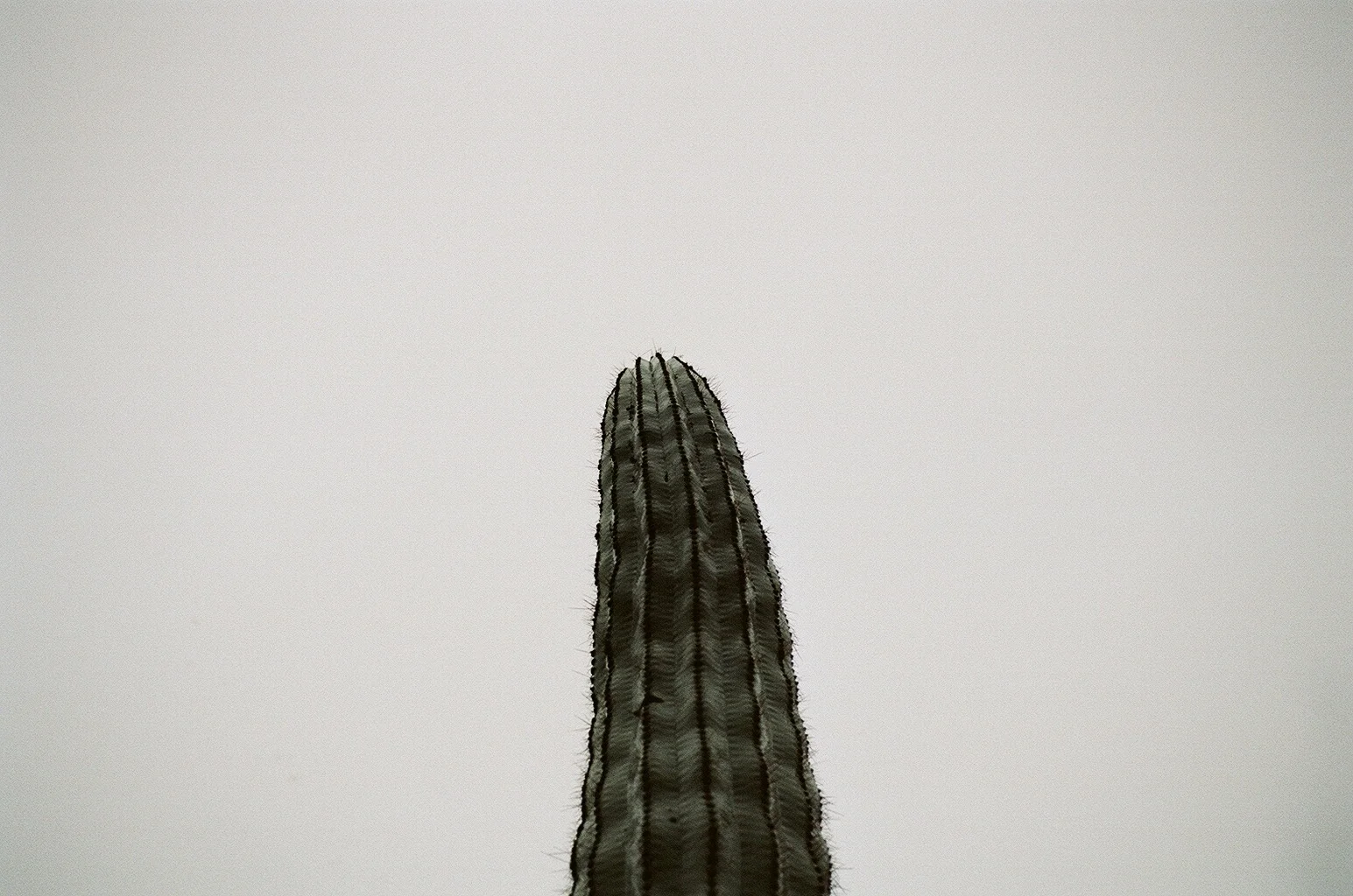63170023.jpg