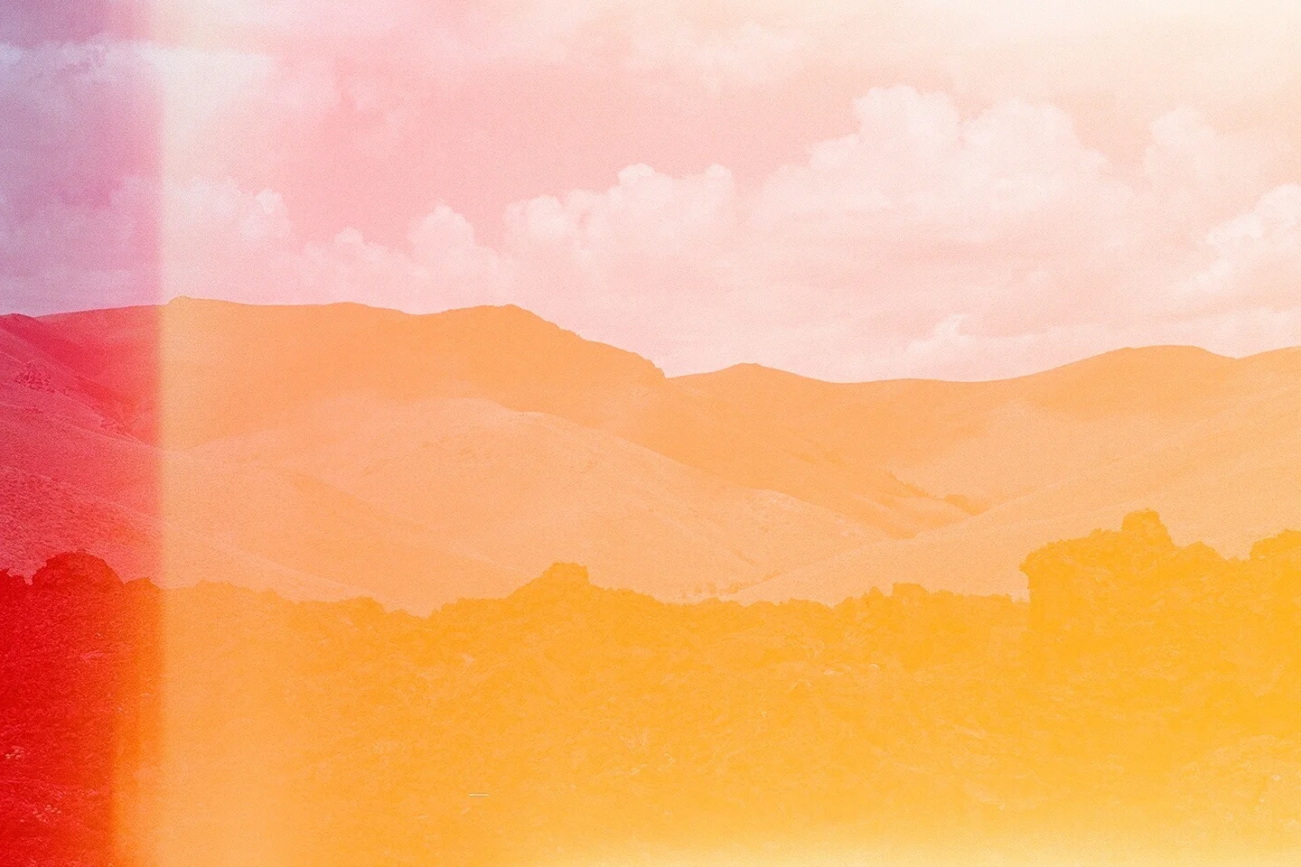 63160019.jpg