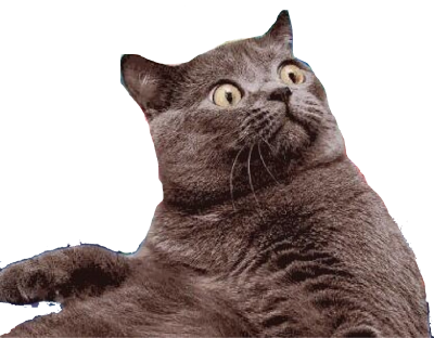 laser-cat.png