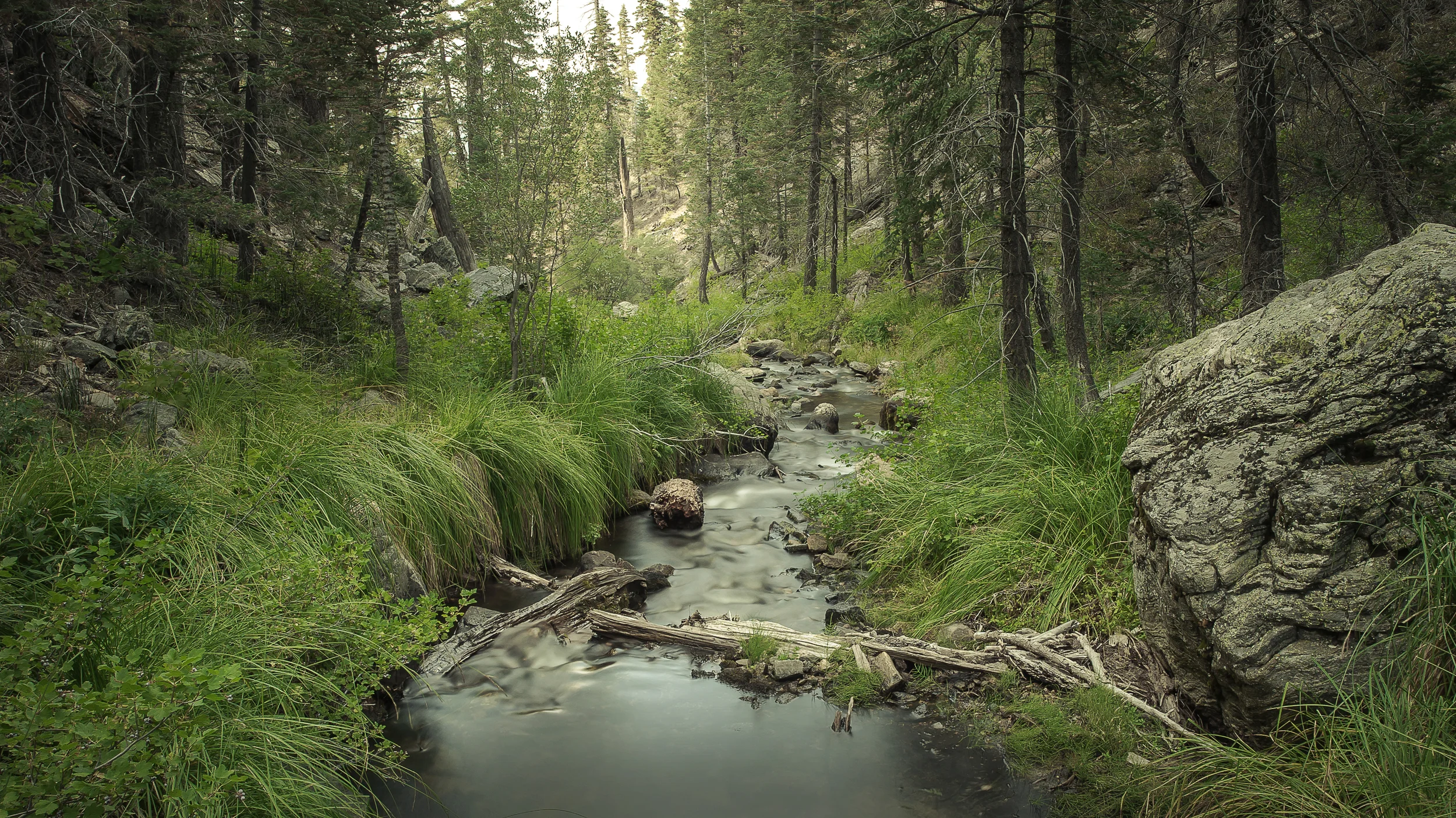 The south fork of the Santa Ana River was once only a favorite trail of mine, now it's a favorite local fishing hole as well.