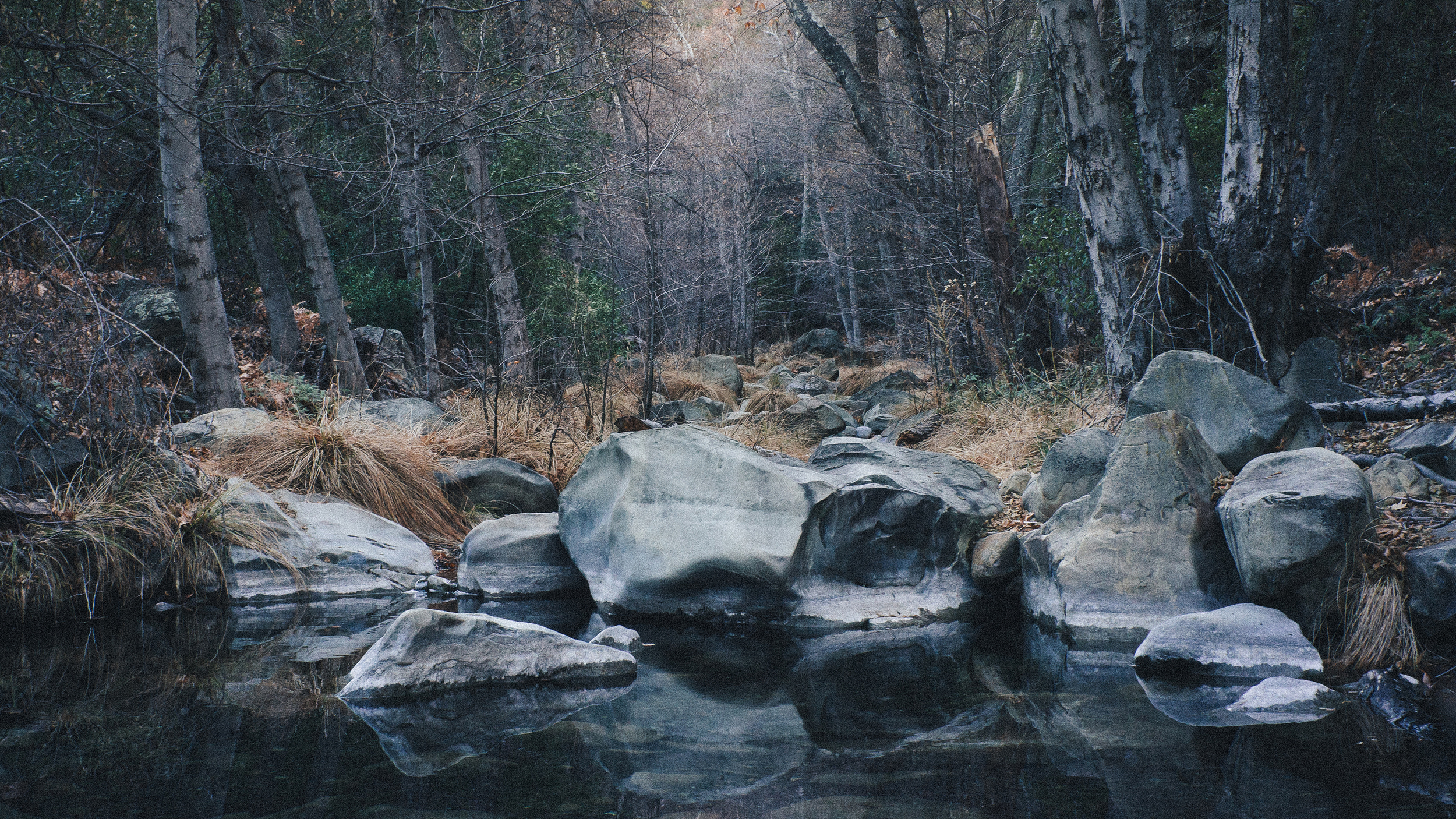 UpperLionCanyon_KodakPortra400.jpg