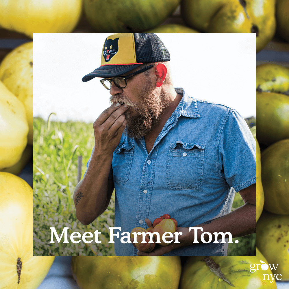 GrowNYC_Insta2_0011_farmertom.png