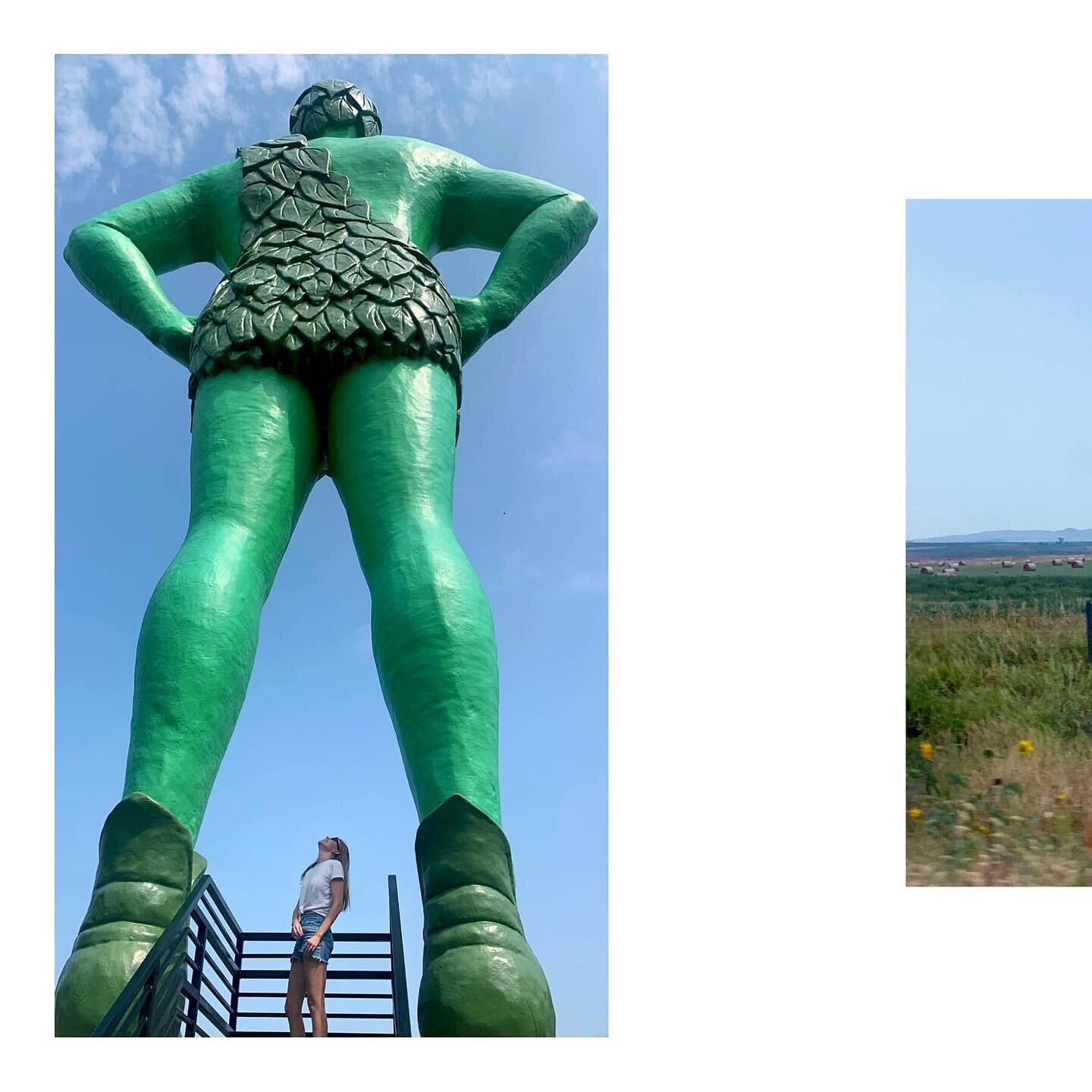 Roadside trivia, August 2020
🚗 
The Jolly Green Giant Statue wears size 78 shoes. 
🥦 
Square hay bales weren&rsquo;t invented until the 1930s.
🐄 
Interstate 90, Minnesota