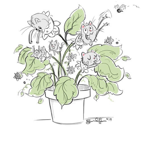 Catober Day 6: Cat Plant.
This one was a bit weird but I went with it!  Haha 😆 
#catober #catober2019 #catplant #digitalart #digitalsketch #characterdesign #cats #sketch