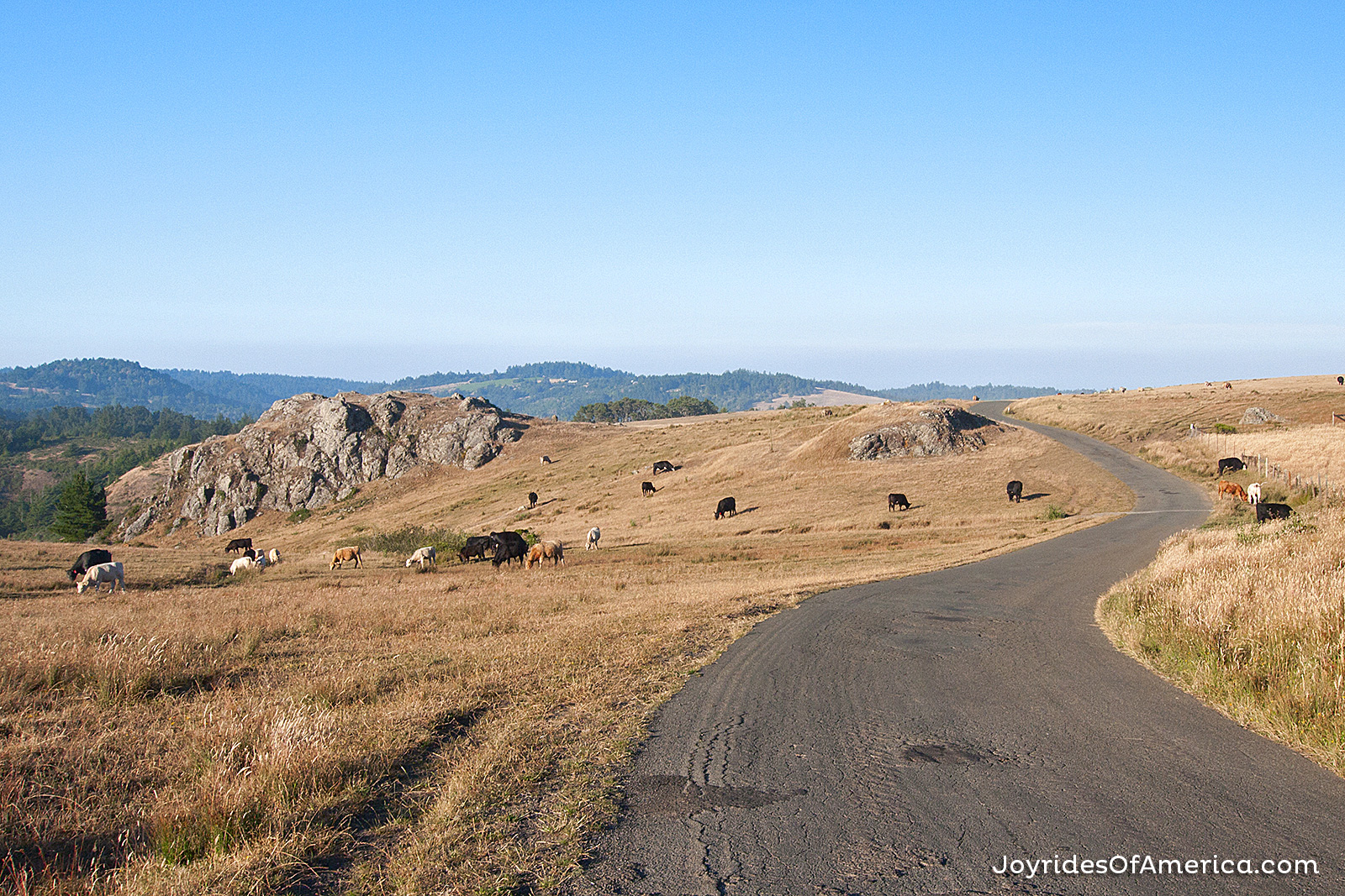 FREESTONE + COLEMAN VALLEY RD. January 22, 2014 »» VIEW THIS ISSUE »