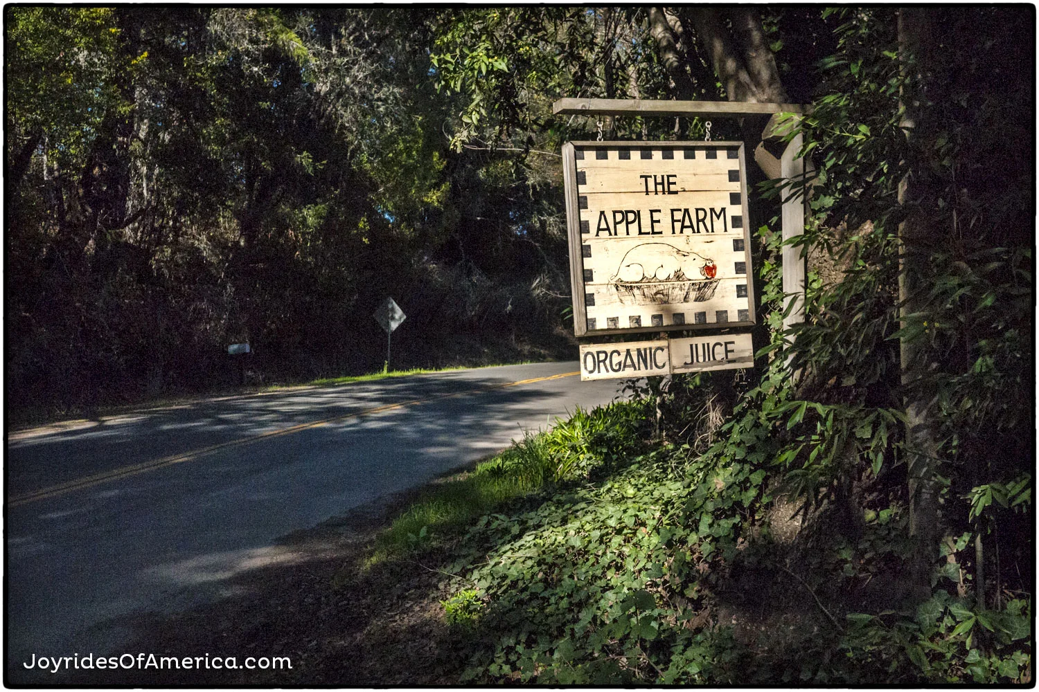 applefarm.jpg