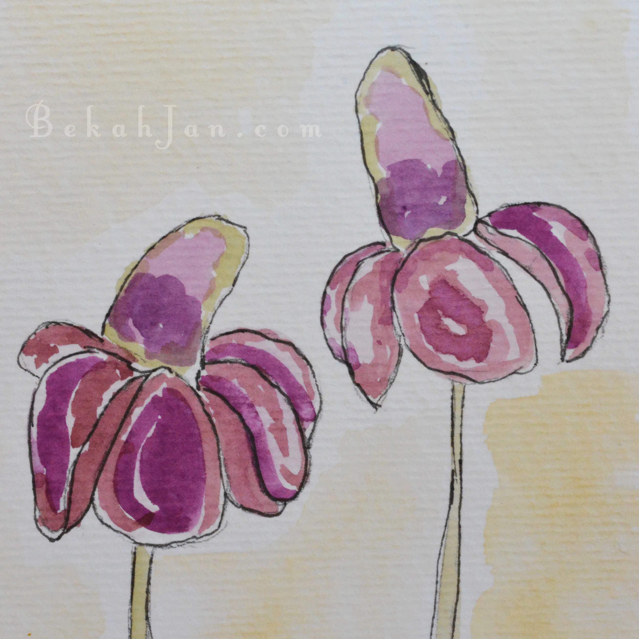 Flower 2 W.jpg